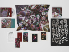 2LP / Bjork / Fossora / Box / Crystal Clear / Vinyl / 2LP