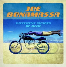 2LP / Bonamassa Joe / Different Shades Of Blue / Blue / Vinyl / 2LP