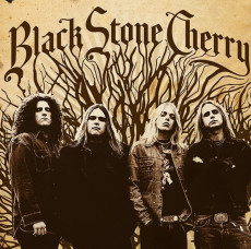 LP / Black Stone Cherry / Black Stone Cherry / Red / Vinyl