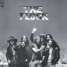 LP / Flock / Flock / Silver / Vinyl