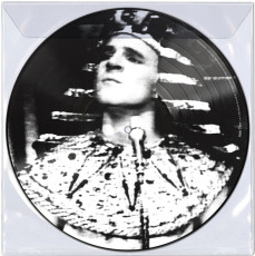 LP / Martin Steve / King Tut / Picture / Vinyl