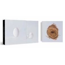 LP/CD / Wilco / Ghost Is Born / Box / Vinyl / 9LP+4CD