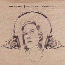 2LP / Sylvian David / Died In The Wool / Manafon Variatiins / Vinyl / 2LP