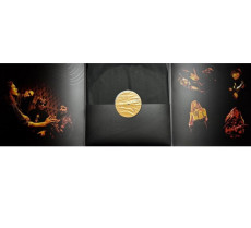 LP / Die El.Eleffant!? / Elephantology?! / Limited 250 / 180g / Vinyl