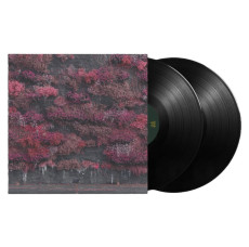 2LP / Sleep Token / Even In Arcadia / Vinyl / 2LP