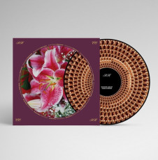 LP / Hawley Richard / Coles Corner / Picture / Vinyl
