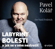 CD / Kol Pavel / Labyrint bolesti / Fridrich V. / MP3
