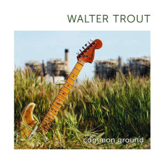 2LP / Trout Walter / Common Ground / Green / Vinyl / 2LP