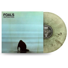 LP / Foals / What Went Down / Limited / Anniversary / Coloured / Vinyl