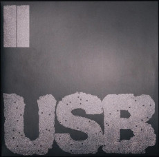 LP / Fred Again / USB002 / Vinyl