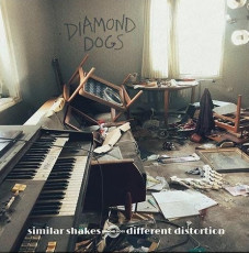 CD / Diamond Dogs / Similar Shakes Of Different Distortion