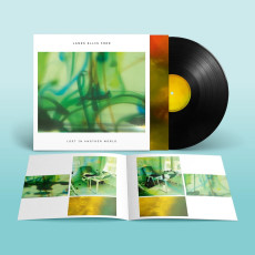 LP / Ford James Ellis / Lost In Another World / Vinyl