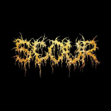 CD / Scour / Gold