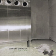 CD / Aesthetic Perfection / Closer To Human