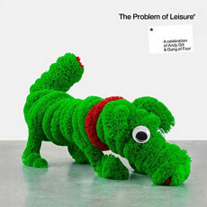 2LP / Various / Problem Of Leisure / Vinyl / 2LP