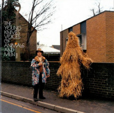 CD / Young Knives / Voices Of Animals And Men