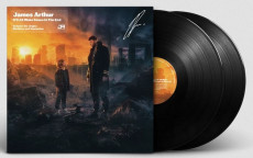 2LP / Arthur James / It'll All Make Sense In The End / Sig / Vinyl / 2LP