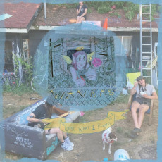 LP / Wavers / Look What I Found / Vinyl