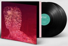 2LP / Richter Max / Voices / Vinyl / 2LP