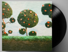 LP / Midnight Sister / Painting the Roses / Vinyl