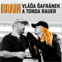 CD�afr�nek Vl��a a Rauer Tonda / Brain
