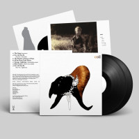 2LPCoil / Black Antlers / Vinyl / 2LP