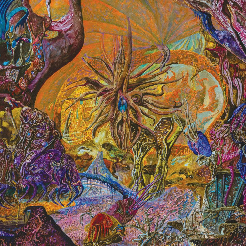 LP / Slimelord / Chytridiomycosis Relinquished / Coloured / Vinyl