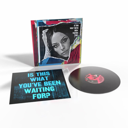 LP / Macdonald Amy / Is This What You've Been Waiting For? / Vinyl