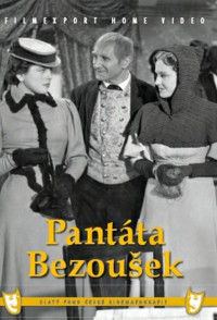 DVDFILM / Pant�ta Bezou�ek