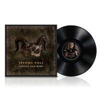 LPJethro Tull / Curious Ruminant / Vinyl