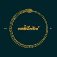 CDFDK / Earthlinked