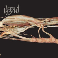 CDEnd / Transfer Trachea Reverberations From Point
