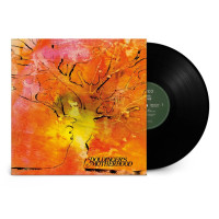 LPDoldinger's Motherhood / Motherhood / Vinyl