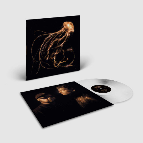 LP / Royal Blood / Back To The Water Below / Clear / Vinyl