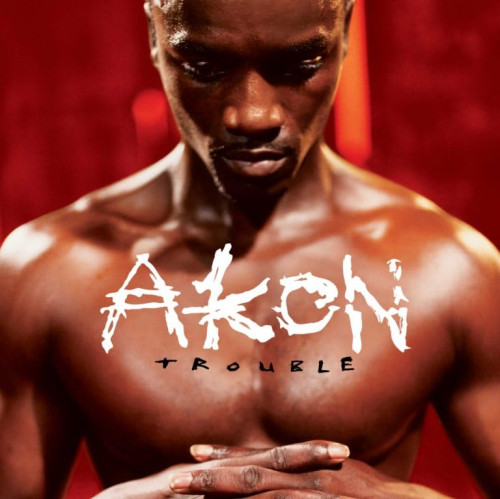 2LP / Akon / Trouble / Vinyl / 2LP