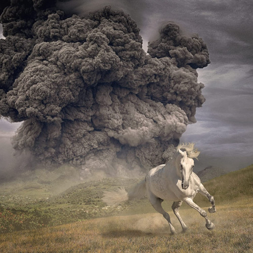 LP / White Buffalo / Year Of The Dark Horse / Vinyl