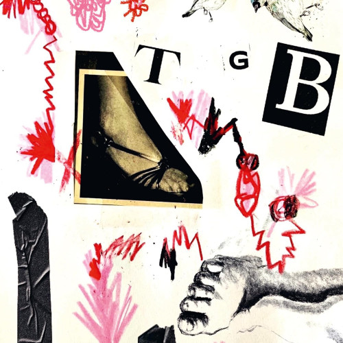 LP / Teri Gender Bender / TGB / Vinyl