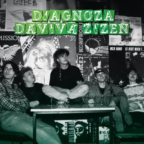 LP / Diagn�za D�viv� ��ze� / Diagn�za D�viv� ��ze� / Vinyl