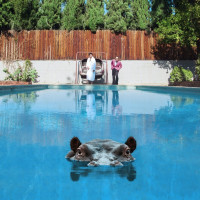 LPSparks / Hippopotamus / Vinyl / 2LP