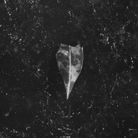 CDBees Made Honey In The Vein Tree / Aion / Digisleeve