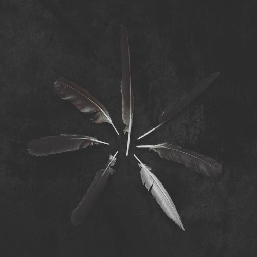 LP / Caspian / Dust And Disquiet / Emerald Green White / Vinyl