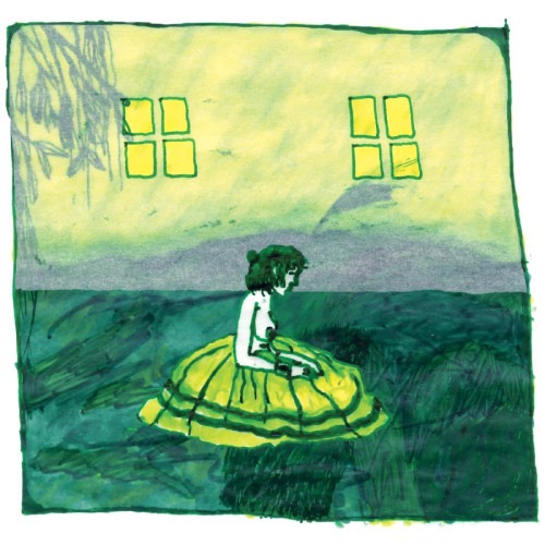 LP / Animal Collective / Prospect Hummer / 12" / Vinyl