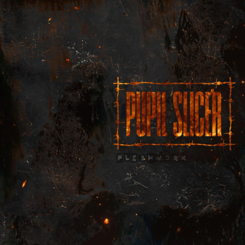 CD / Pupil Slicer / Fleshwork