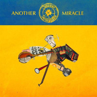 CDSteve'n'seagulls / Another Miracle