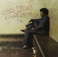 CDBrown James / In The Jungle Groove