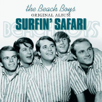 LPBeach Boys / Surfin' Safari / Crystal Clear Green / Vinyl