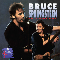 2LPSpringsteen Bruce / Mtv Plugged / Vinyl / 2LP