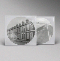 LPManic Street Preachers / Critical Thinking / Picture / Vinyl