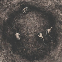 CDPure Wrath / Bleak Days Ahead / Digipack