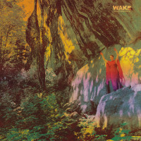 LPWake / Thought From Descent / Vinyl